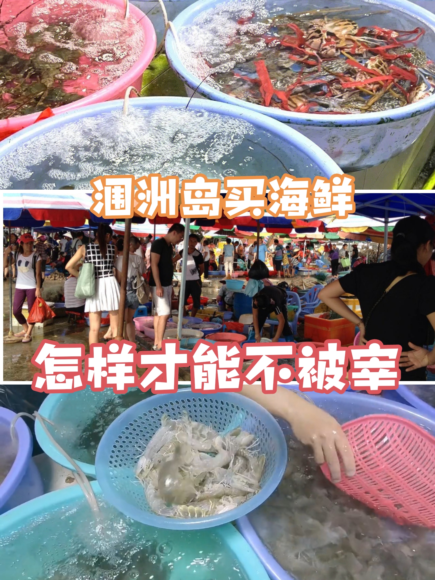 微信图片_20230906092226